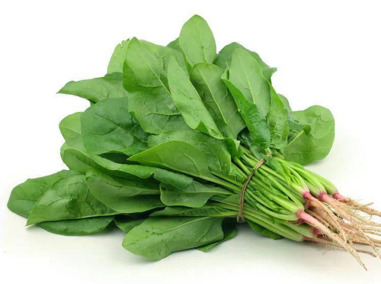 疏肝降火春菠菜_气候_部分_血脉