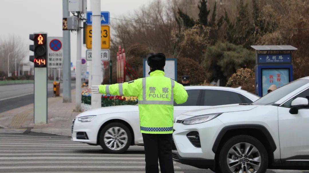 宁河公安组织开展多警联动交通违法行为整治工作_力度_辖区_头盔