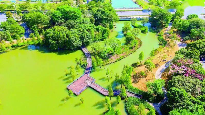 满城绿,佛山美,公园绿地焕新颜!_市民_城市_高明区