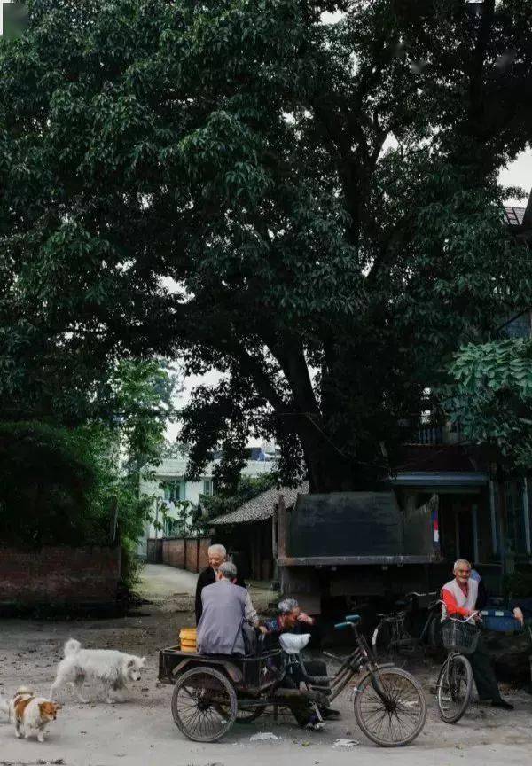 来乐山这11个古镇赴一场人间烟火_罗城镇_美食_犍为县