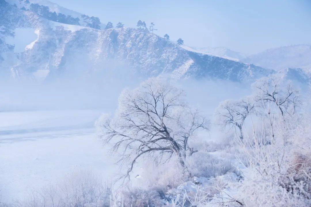 这首令人难忘的钢琴曲,让你微笑向暖,安之若素_经典_岁月_阳光