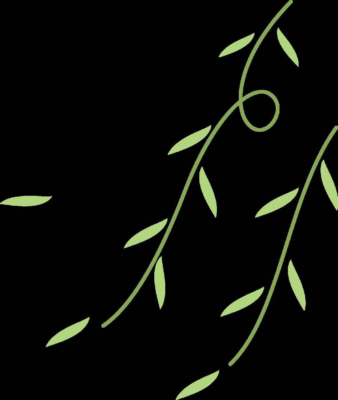 春天,一种花里胡哨的美_分类_搜索_spring