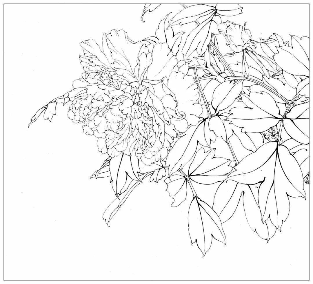【国画教程】李晓明工笔牡丹《大宋紫》绘制步骤图!_花头_画面_的整体
