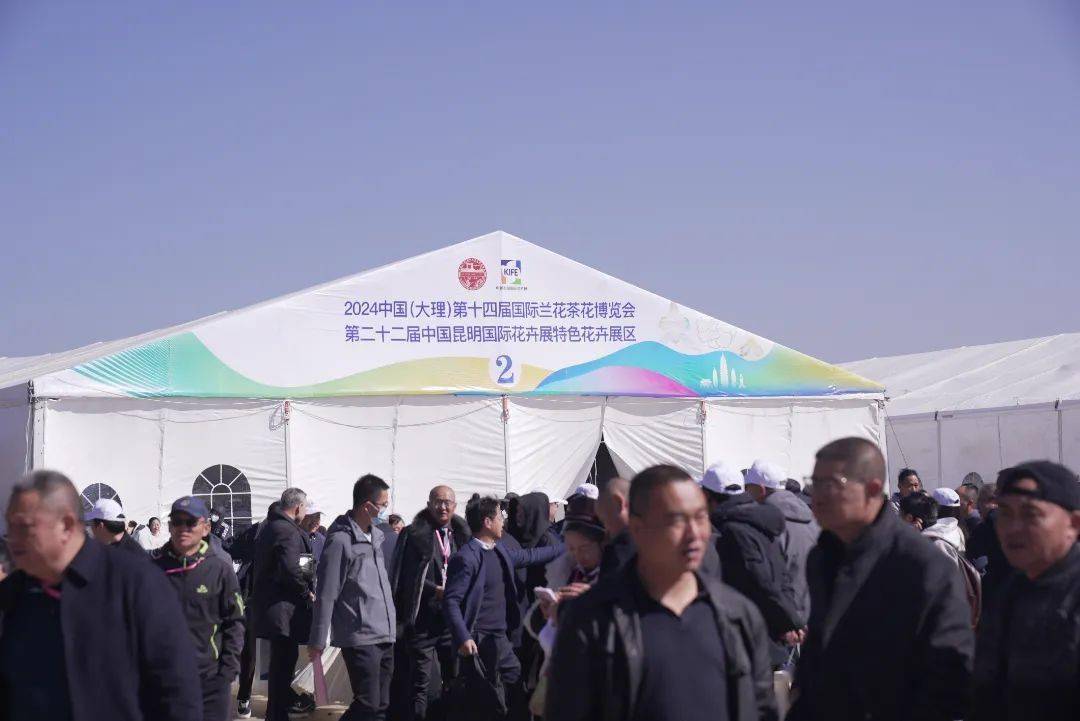 春日盛会,2024中国(大理)第十四届国际兰花茶花博览会今日开幕!