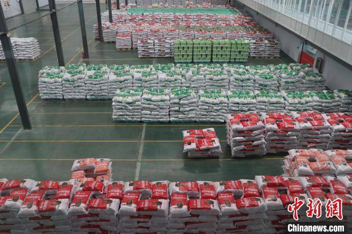 (新春走基层)山东特色农产品"打包"出海 丰富"国际餐桌"_出口_地瓜