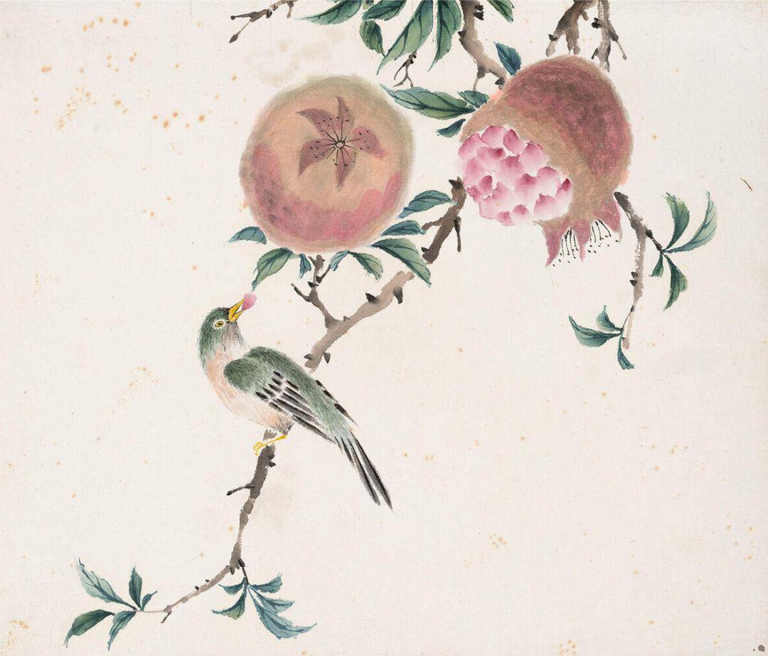 周炼霞花鸟册十二开,真美!_经典_高清_螺川