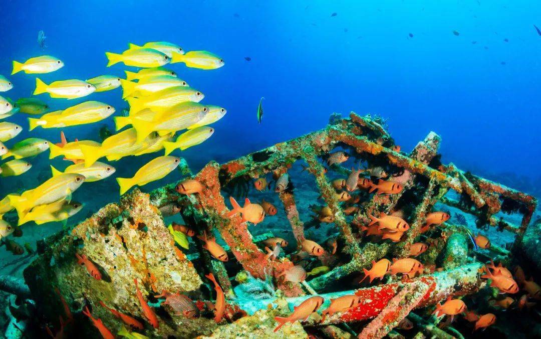 风情_吉隆坡_花园