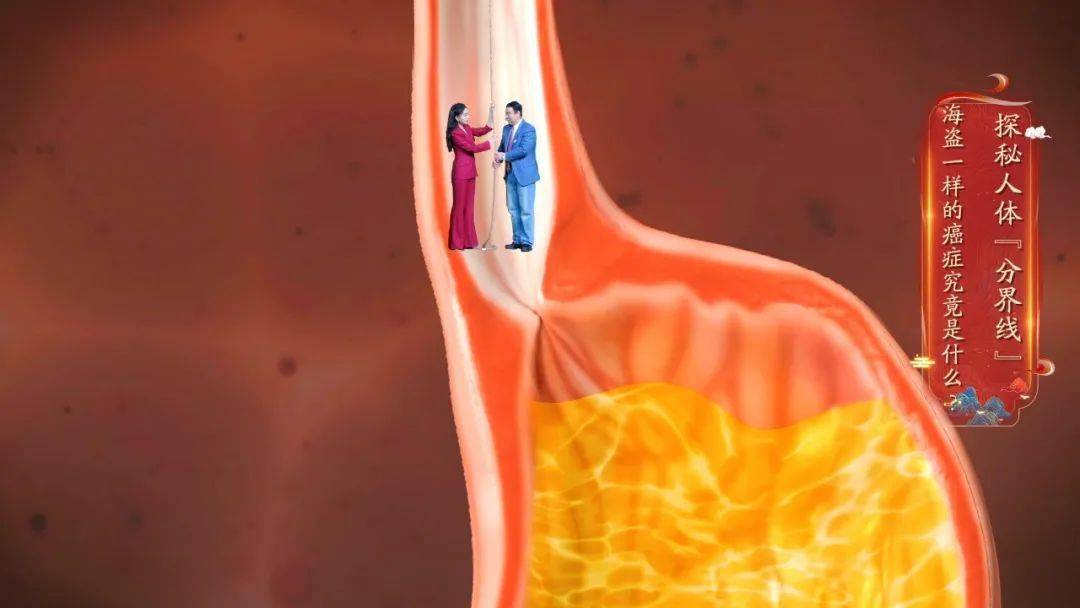 【养生堂】今日17:25播出《抓住吃出来的"海盗癌"》_分界线_症状_节目