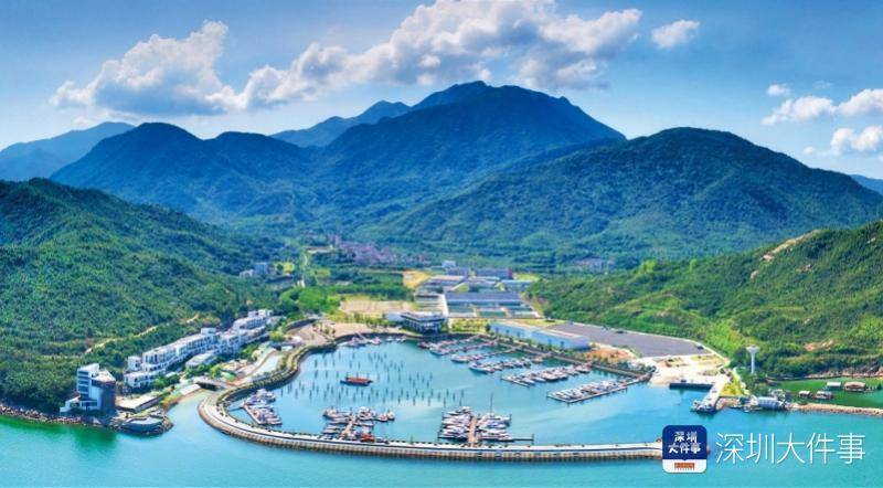 大鹏南澳春节期间接待游客38.