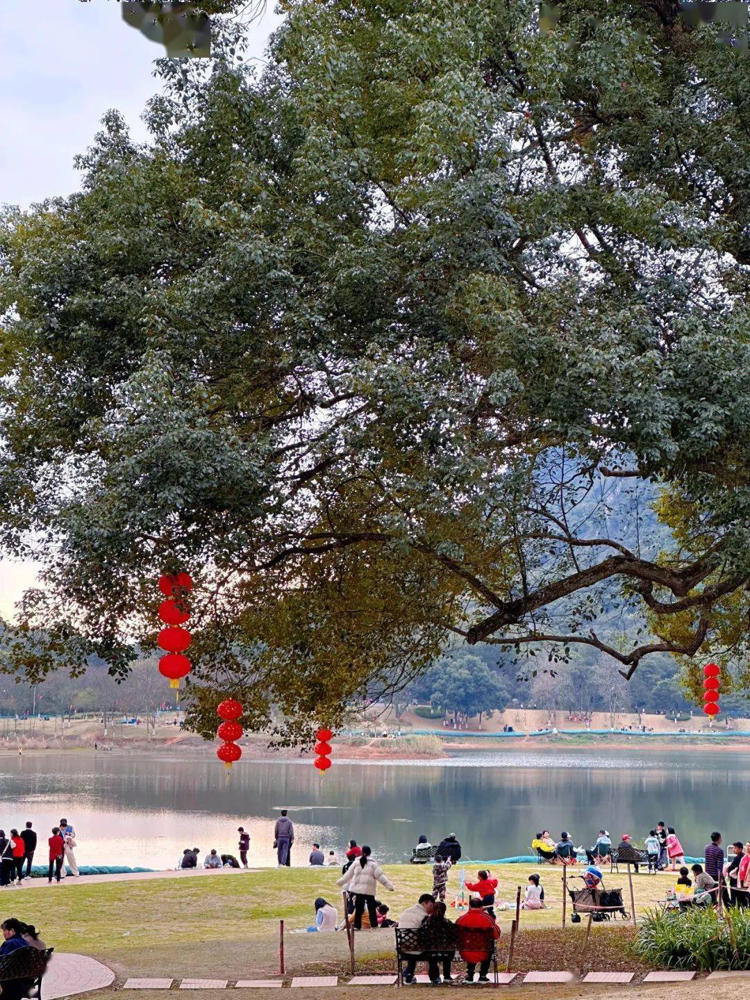 韶关人家门口公园里的春日限定桃花惊艳上线,快约起