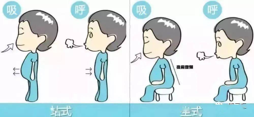 呼吸运动的动画图图片