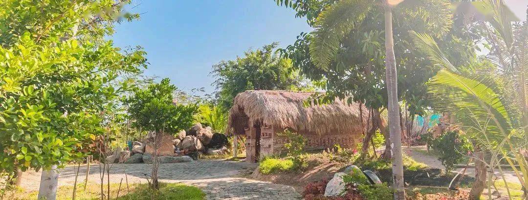 噜好!天涯"村"光_过程_村光_风景