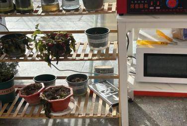 类乌齐县消防救援大队联合多部门检查多业态混合经营场所及曝光_隐患