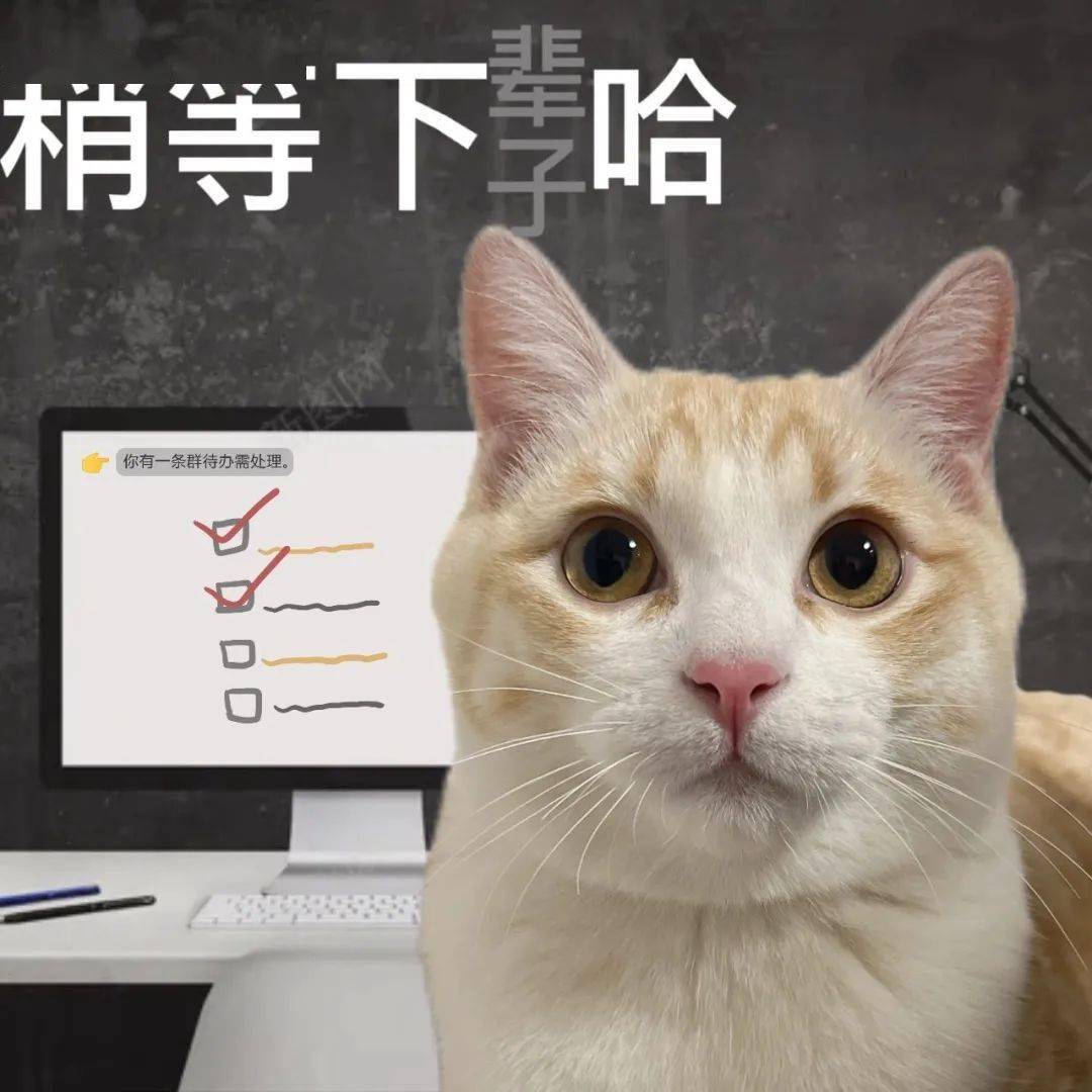 沙雕可爱表情包:你学历是胎教吧?_公众_事情_什么