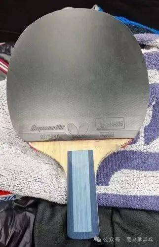 世界前十,男子选手器材配置(202402)_正手_樊振东_波尔