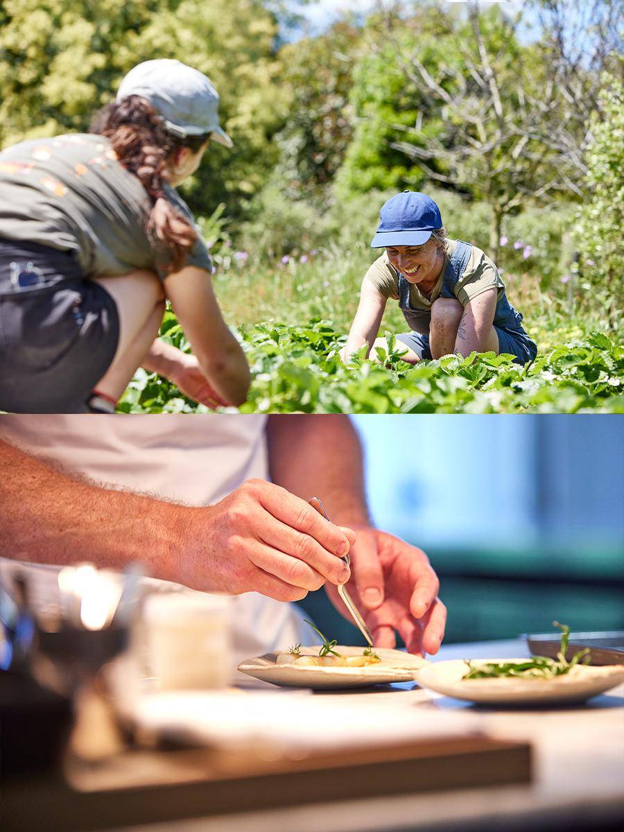 澳大利亚旅游局发布 2024 年旅行榜单(下)_雨林_stone_埃斯