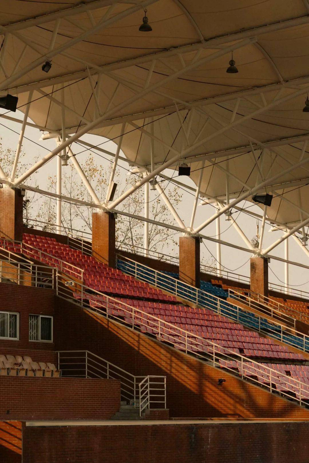 许是留校的同学在相片里面感受自由让我们跟随成小狮们的镜头新的一年