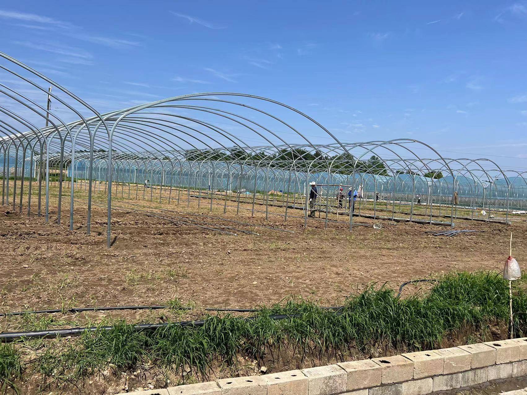 大棚旁的空地建成了露营基地,村里又建设了度假酒店,农家乐,吸引大量