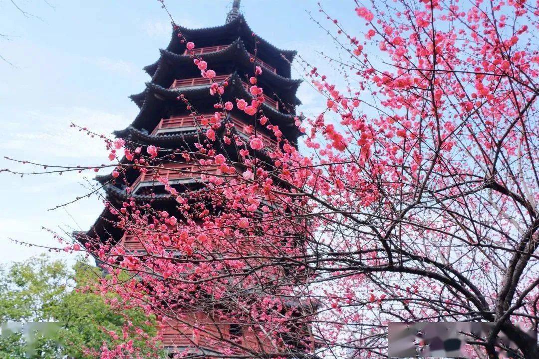 有"塔中塔"之称的飞英塔而得名因国家级重点文物保护单位是湖州