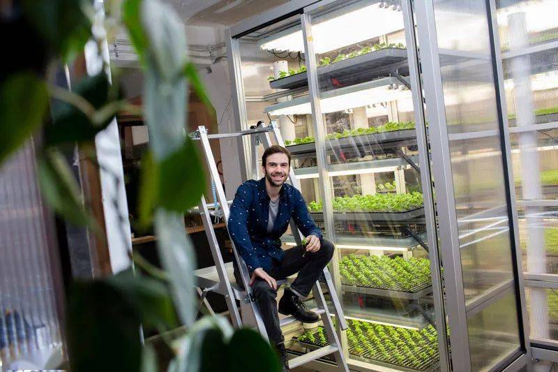 在墙上种白菜的狂想不仅实现了,还扩充至全球1200个