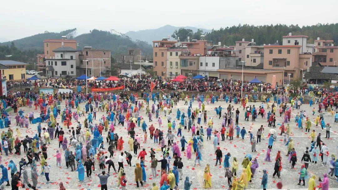 高岗豆腐节要开始了!_活动_社岗_直播