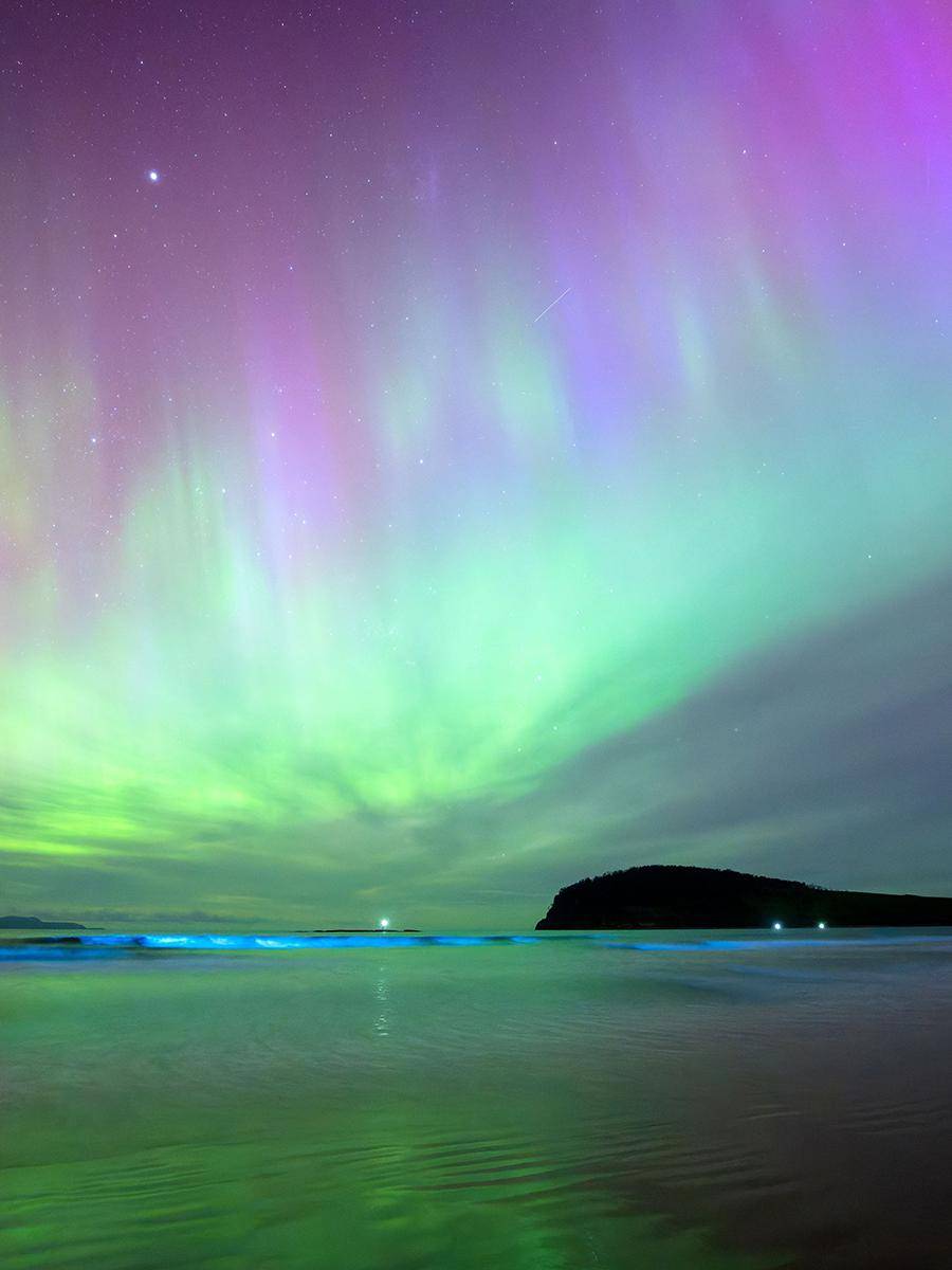 澳大利亚旅游局发布 2024 年旅行榜单(下)_雨林_stone_埃斯