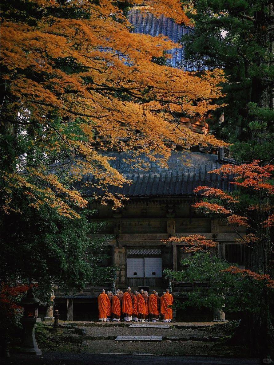 安藤忠雄寺庙图片