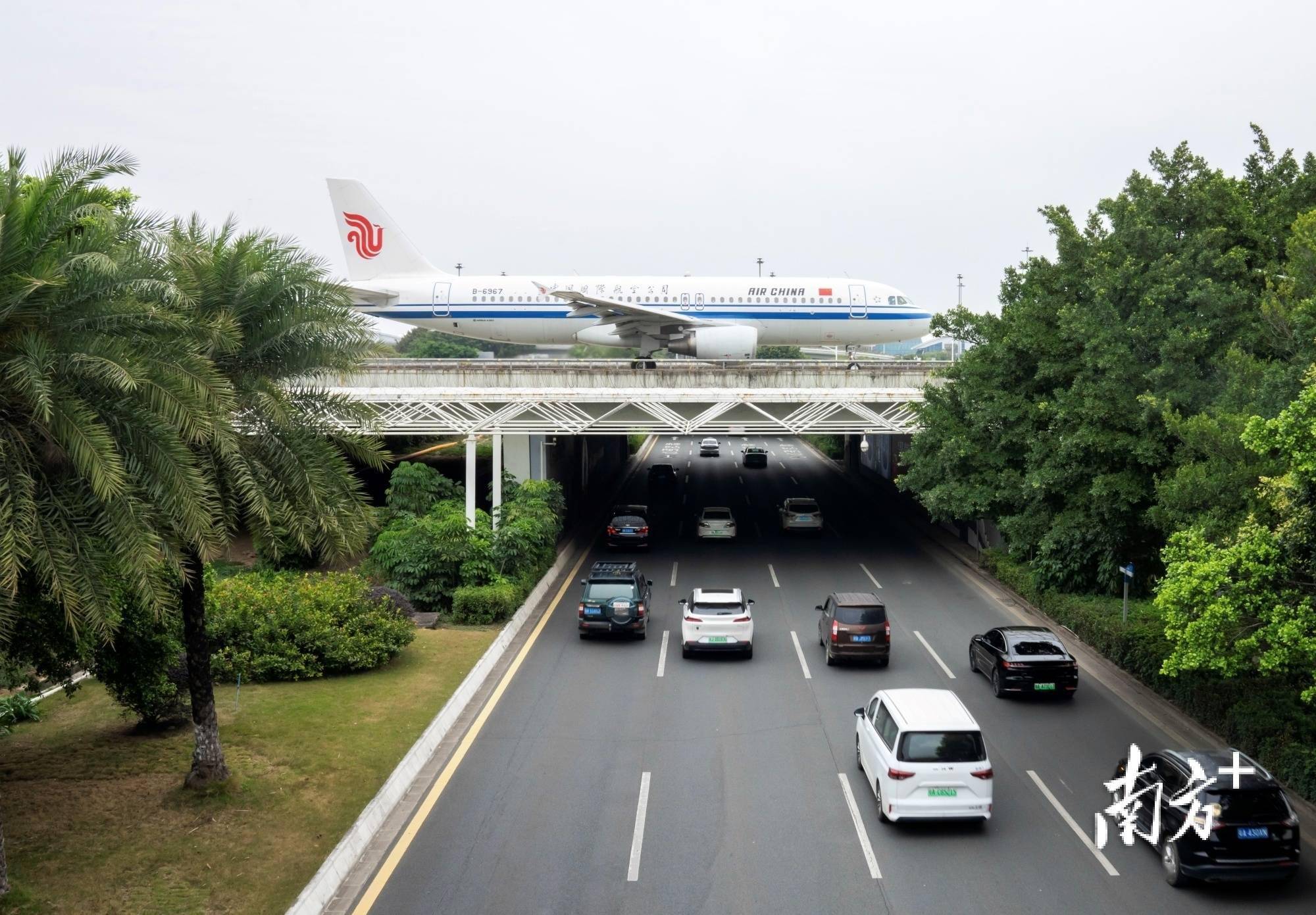 南方特稿|沸腾的春运,活跃跃的人气带来朝气财气_广州_广东_旅游