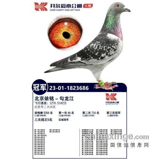 有9家公棚有入围获奖,其中包括唐山开尔大棚,神州辉煌,唐山阳光等