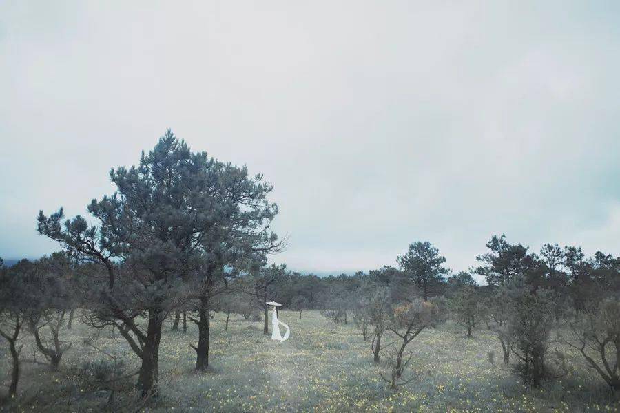 男人_媳妇_什么