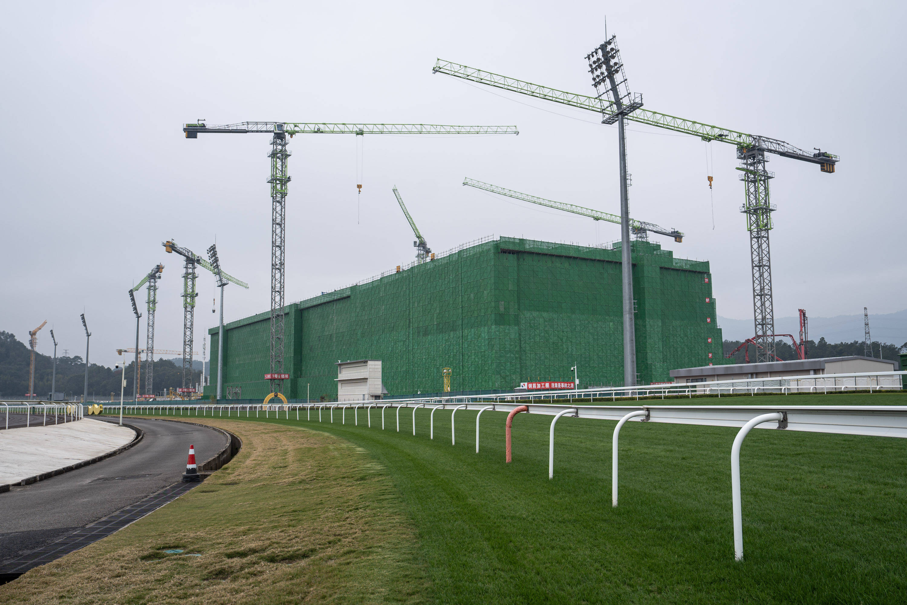 五年驰骋:从化马场助力大湾区马产业飞跃_建设_内地_马匹