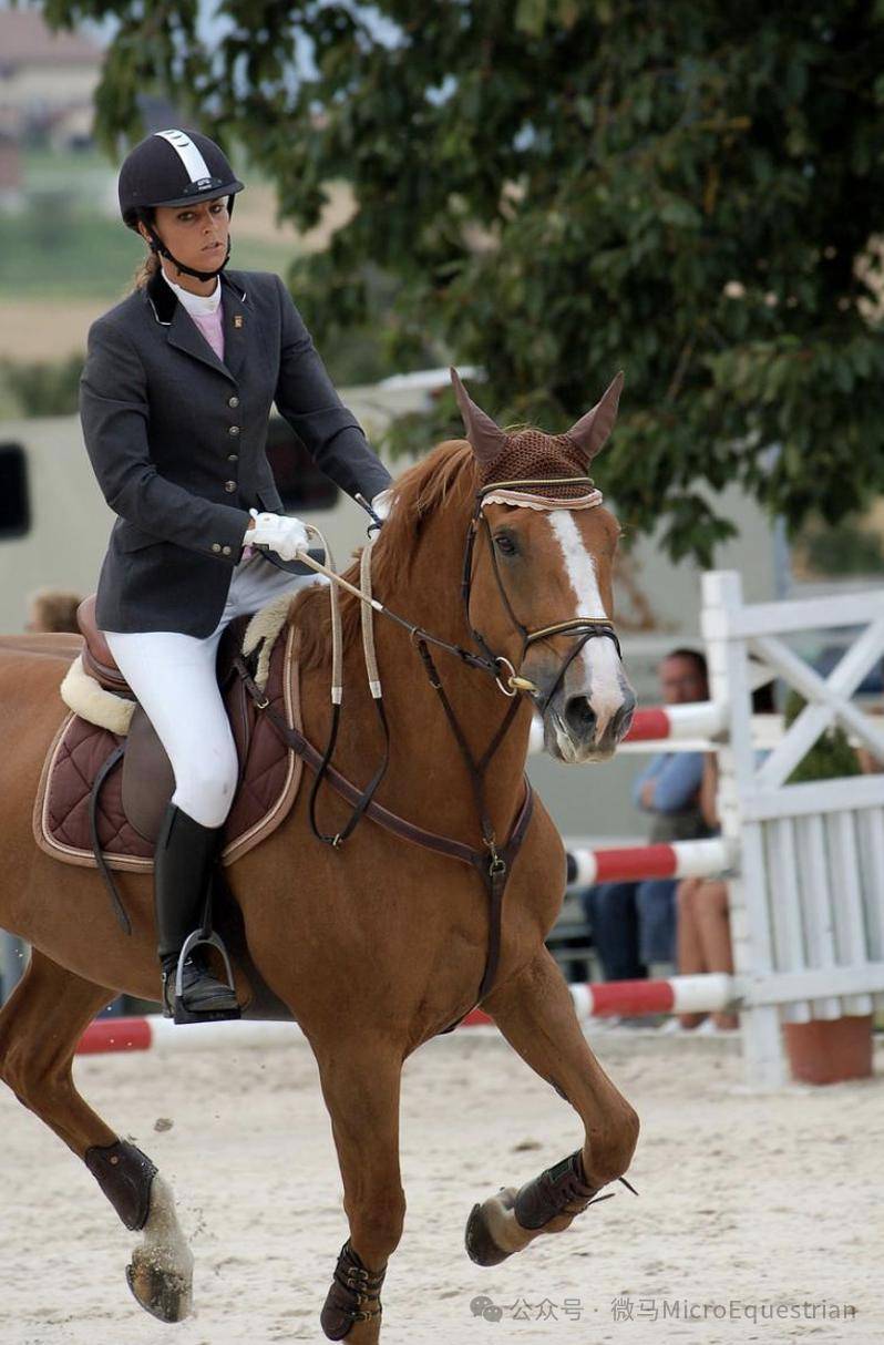 马匹_马术_挑战性