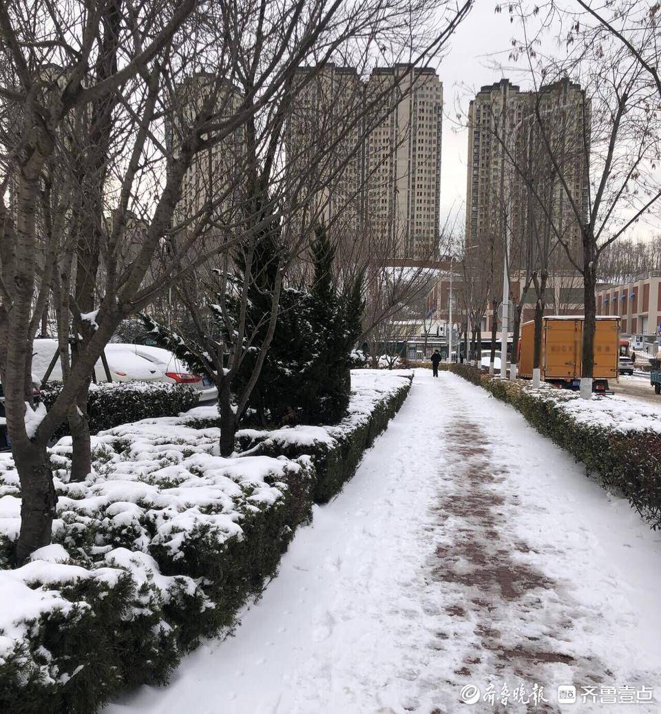 50年来首次出现大范围冻雨、冰粒和纯雪!青岛的雪刷新多项纪录_天气_过程_全市