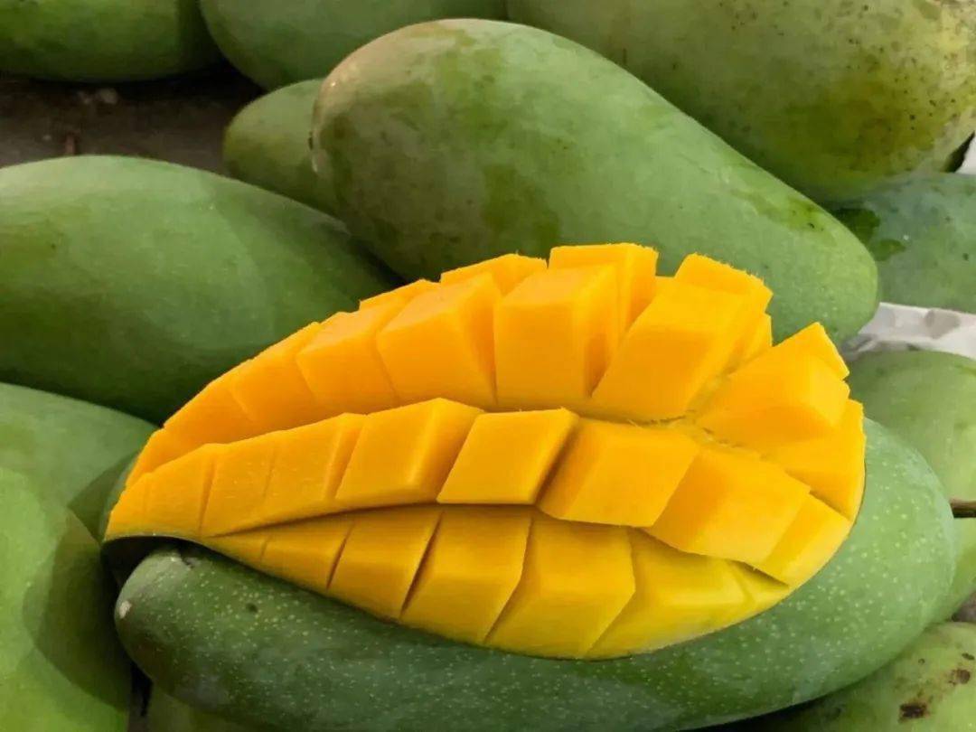 爆汁!超100万斤『越南大青芒26.