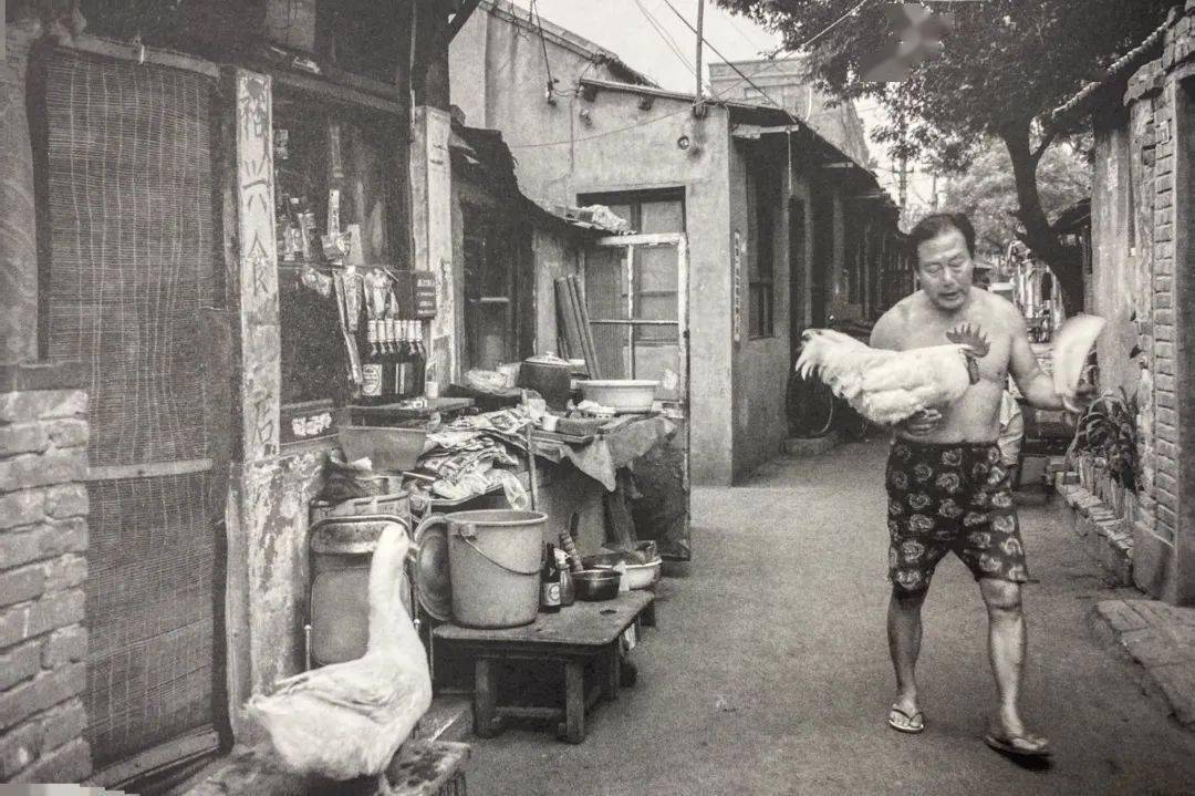 在老北京的胡同里,精神内耗不了一点儿_生活_大白菜_玩物