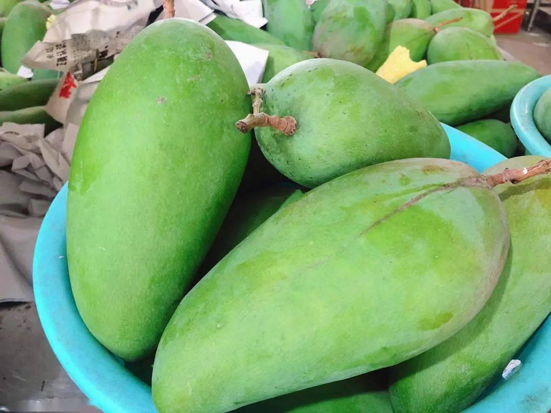 爆汁!超100万斤『越南大青芒26.