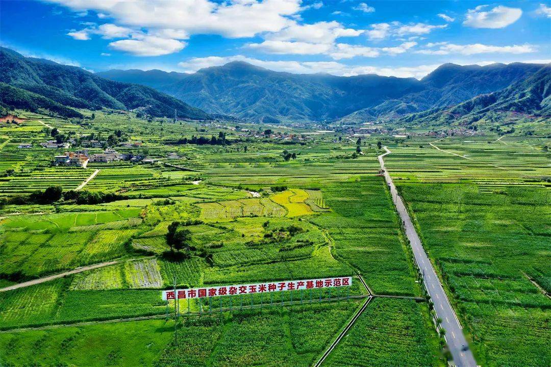 喜迎两会丨西昌:平畴沃野绘"丰"景 乡村振兴正当时_建设_发展_农业