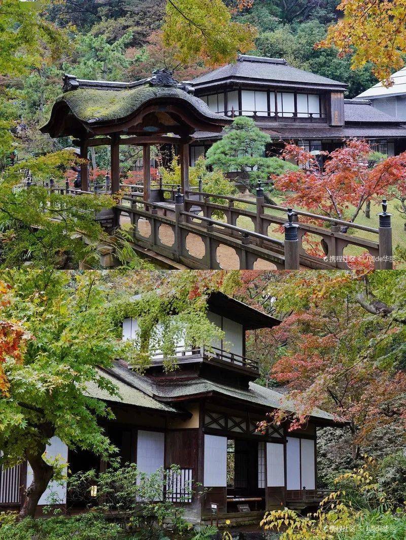 三溪园内的鹤翔阁便会时常举行日式婚礼,除此之外,庭院内十多座古建筑