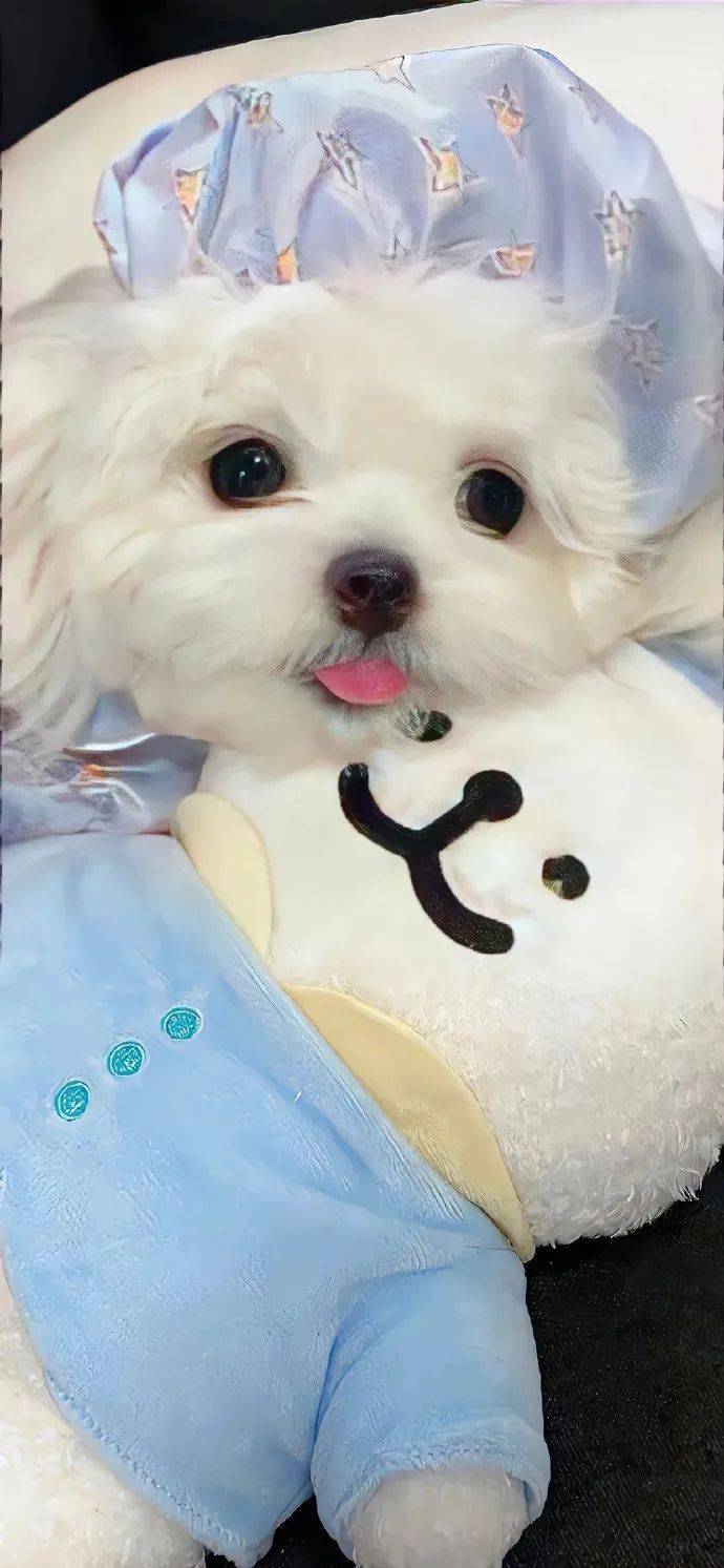 壁纸丨高清手机壁纸 锁屏壁纸