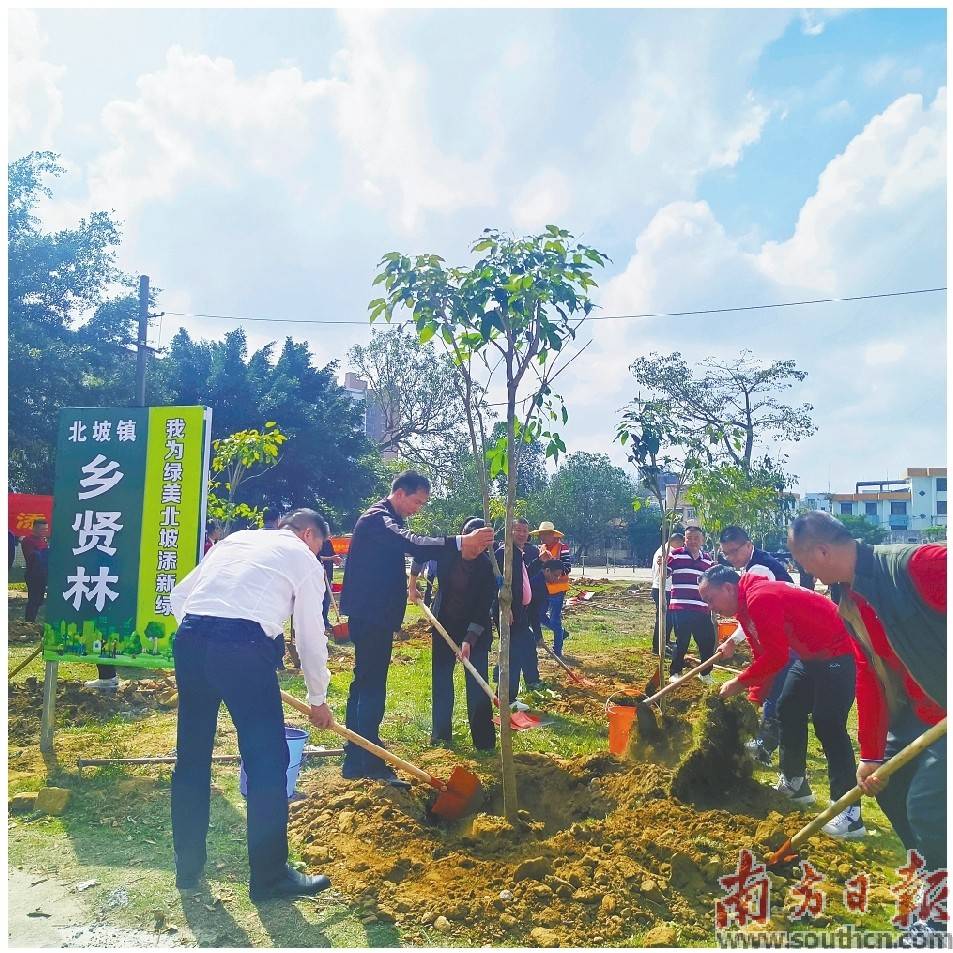 廉江市石城镇组织乡贤代表在谢鞋山开展新春植树活动,共种"幸福树".