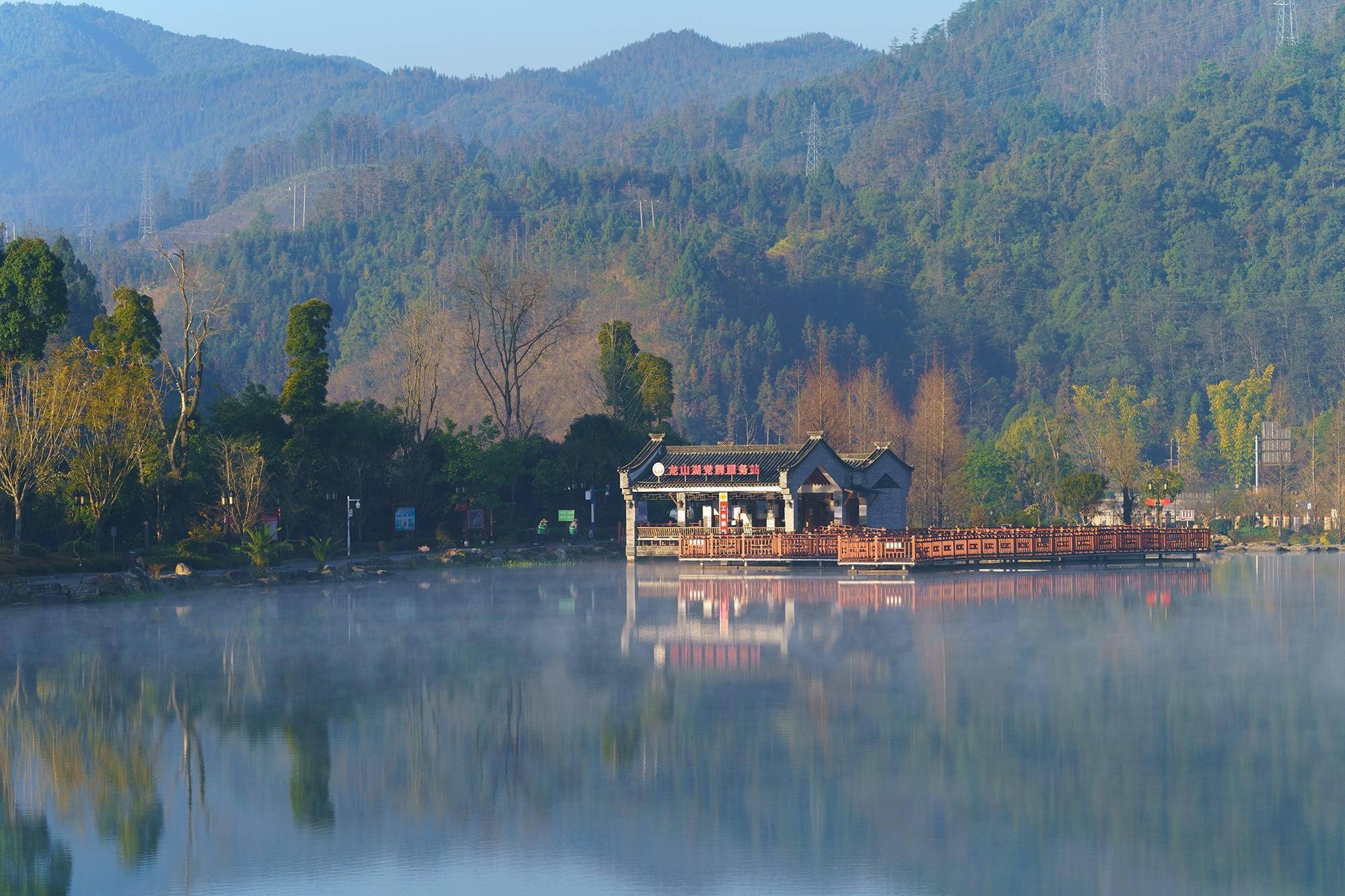 快来龙山湖看灰头麦鸡!_公园_价值_经济