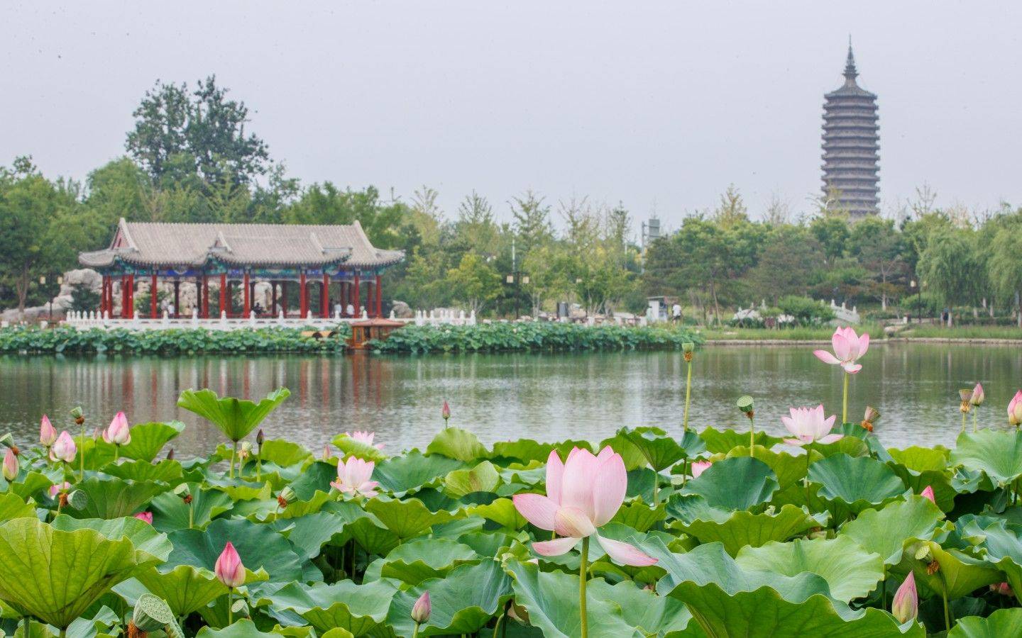 西海子公园(葫芦湖景点)也是北京(通州)大运河文化旅游景区的核心景点