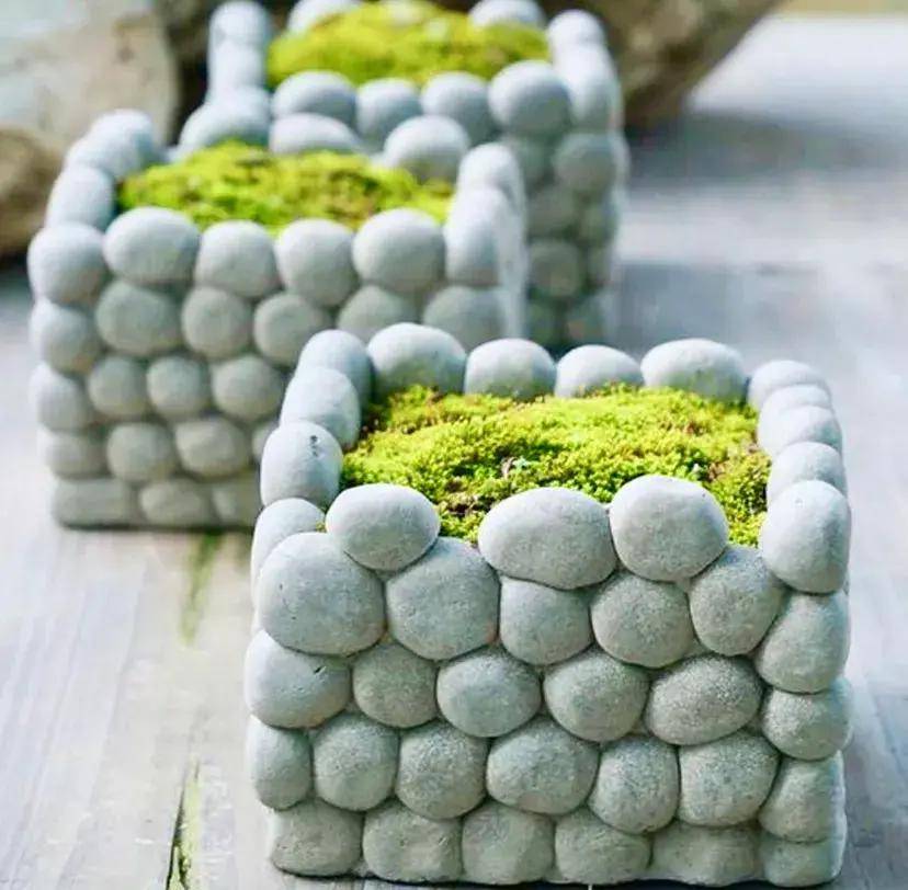 万物皆可种花,主打一个省钱_改造_花盆_创意