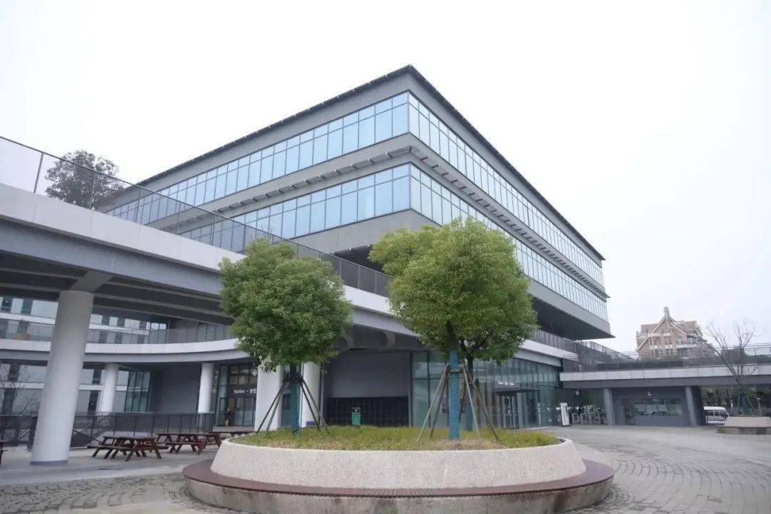 区领导走访调研杨职校,德法学校_发展_杨浦_办学