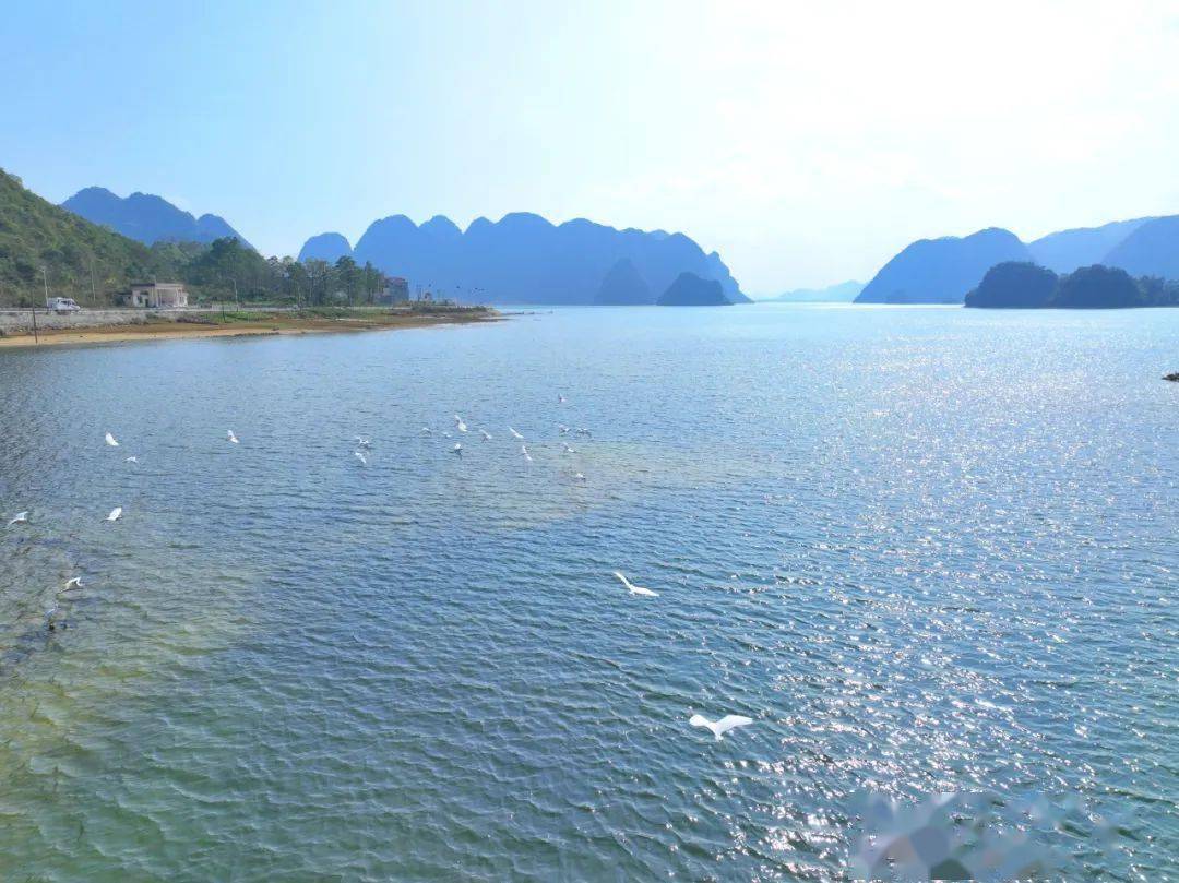 百色最低气温降至1℃……_天气_地区_全市