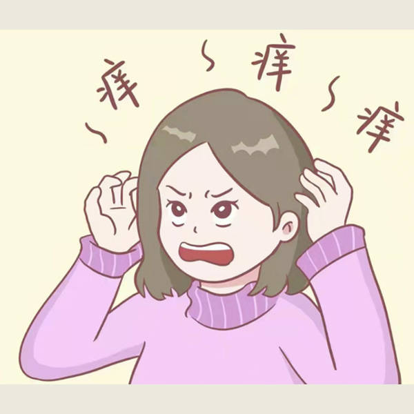 存在于头皮上的真菌,当其过度繁殖时,可能导致油脂分解产生酸性物质