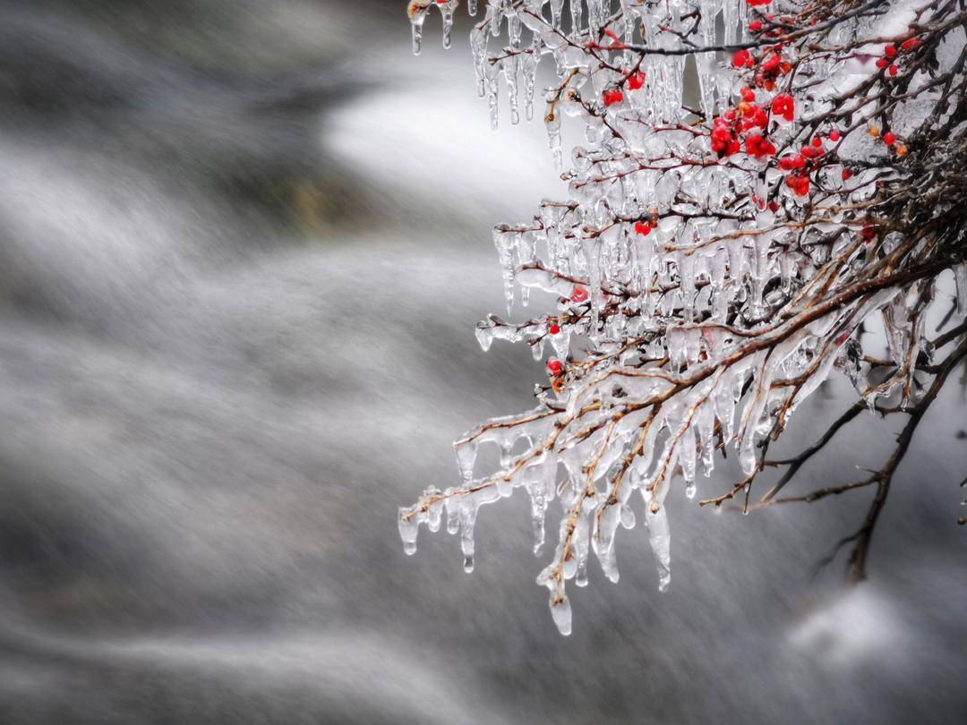 全域旅游丨飞雪落树生花,九寨沟初春缀新芽