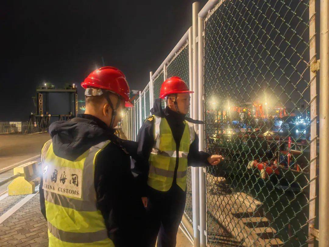 我期待的不是雪_海关_通关_监管