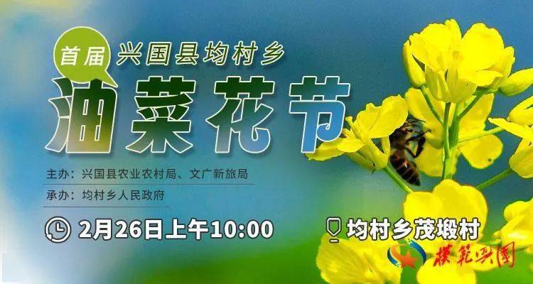 春风十里 兴国均村油菜花海等你_兴国县_均村乡_文化