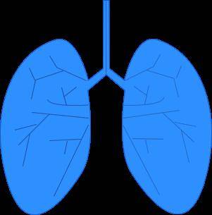 心功能_孕妇_情况